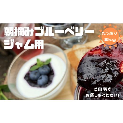 ふるさと納税 果物類 長野県 佐久穂町 朝摘みブルーベリー ジャム用(ご自宅用) 500g×4パック 計2kg [YU-103]