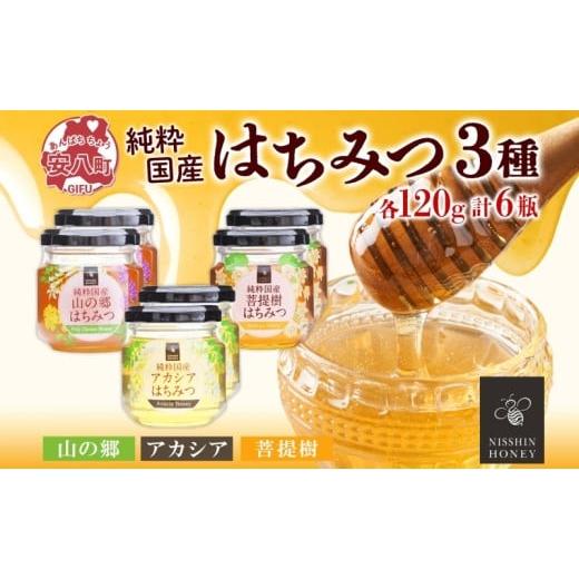 ふるさと納税 加工品等 はちみつ 岐阜県 安八町  No.5331-0138 国産はちみつ120g 3本入り 2セット 山の郷 アカシア 菩提樹 国産 純粋はちみつ ギフト ハニー h…の画像