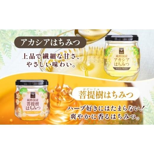 ふるさと納税 加工品等 はちみつ 岐阜県 安八町  No.5331-0138 国産はちみつ120g 3本入り 2セット 山の郷 アカシア 菩提樹 国産 純粋はちみつ ギフト ハニー h…の画像