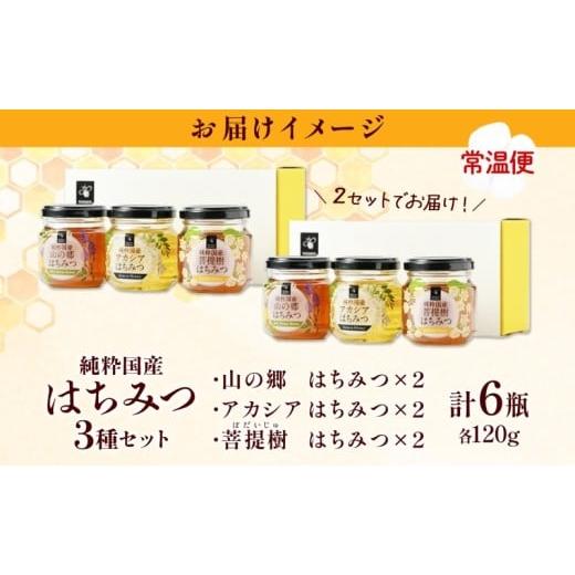 ふるさと納税 加工品等 はちみつ 岐阜県 安八町  No.5331-0138 国産はちみつ120g 3本入り 2セット 山の郷 アカシア 菩提樹 国産 純粋はちみつ ギフト ハニー h…の画像