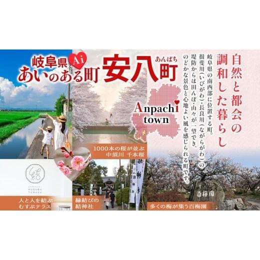 ふるさと納税 加工品等 はちみつ 岐阜県 安八町  No.5331-0138 国産はちみつ120g 3本入り 2セット 山の郷 アカシア 菩提樹 国産 純粋はちみつ ギフト ハニー h…の画像