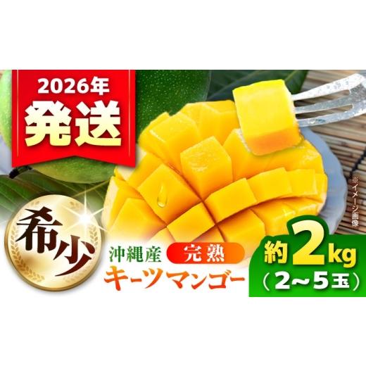 ふるさと納税 マンゴー 沖縄県 沖縄市 マンゴー 2026年発送・数量限定 訳あり 沖縄県産キーツマンゴー 約2kg (2〜5玉) ちゃんぷる〜市場 BCAA005 キーツマンゴ…