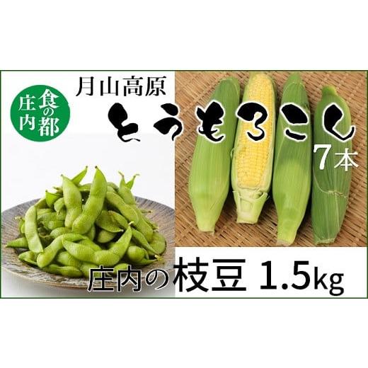 ふるさと納税 豆類 枝豆 山形県 三川町 食の都庄内 庄内の枝豆&月山高原とうもろこし 7月下旬〜8月下旬発送