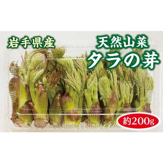 ふるさと納税 野菜類 山菜 岩手県 普代村 山菜 タラの芽 200g 天然 たらのめ 春の味覚