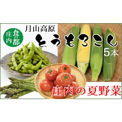 ふるさと納税 とうもろこし 山形県 三川町 食の都庄内 庄内の夏野菜&月山高原とうもろこし 7月下旬〜8月下旬発送