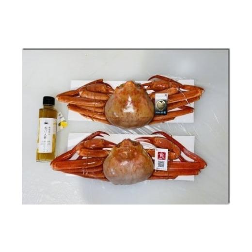 ふるさと納税 鳥取県 境港市 C19 特大　冷凍浜茹で紅ズワイガニ（美味しいかに酢付き） 