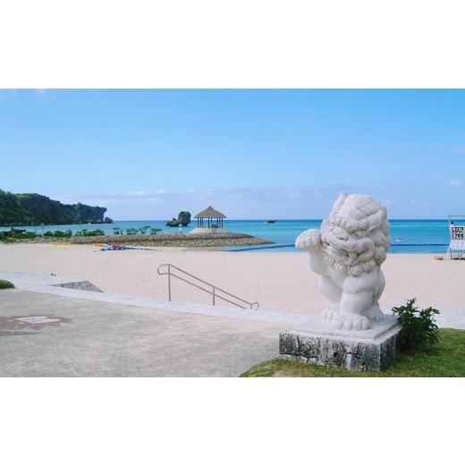 ふるさと納税 沖縄県 恩納村 シュノーケル体験 ペア【バナナボートで行くクマノミ城海の星探し】 