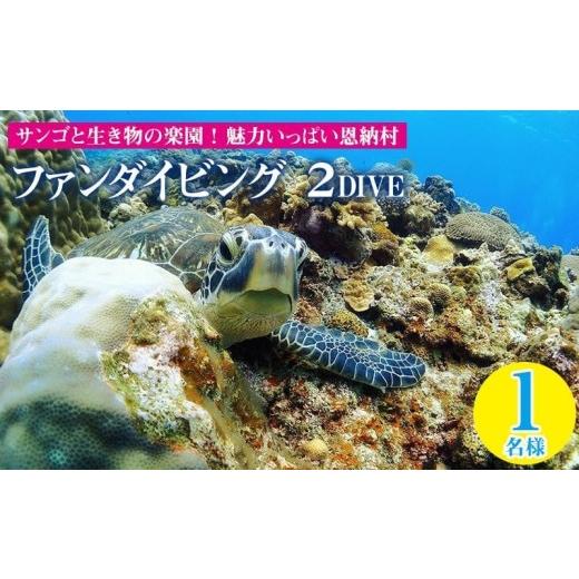 ふるさと納税 体験チケット 沖縄県 恩納村 サンゴと生き物の楽園 魅力いっぱい恩納村ファンダイビング（2DIVE）1名様の画像