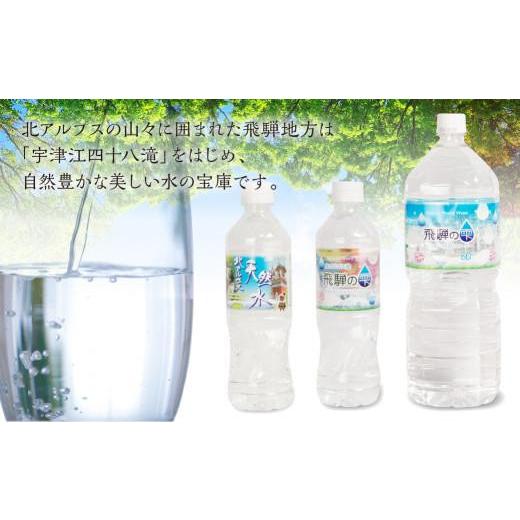 ふるさと納税 水・ミネラルウォーター 1L〜2L 岐阜県 高山市  12回 定期便 天然水 飛騨の雫 2L×12本 (2ケース) |天然水 ミネラルウォーター 水 飲料水 防災 …の画像