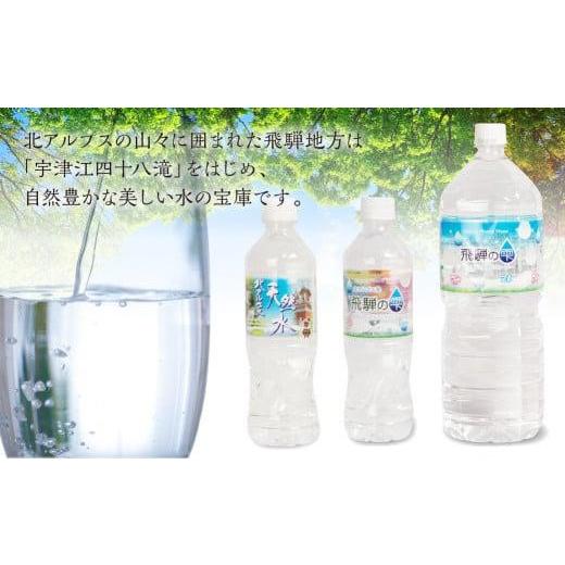 ふるさと納税 水・ミネラルウォーター 500mL〜999mL 岐阜県 高山市  12回 定期便 天然水 飛騨の雫 500ml×48本 (2ケース) |12ヶ月 天然水 ミネラルウォーター …の画像
