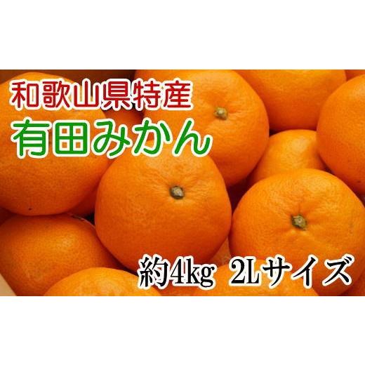 ふるさと納税 みかん・柑橘類 和歌山県 北山村  秀品 和歌山有田みかん約4kg(2Lサイズ) 2026年11月中旬〜2027年1月中旬頃に順次発送予定（お届け日指定不可） … | 