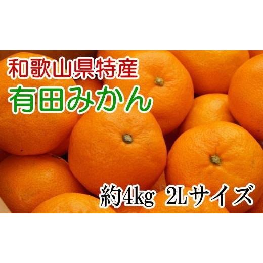 ふるさと納税 みかん・柑橘類 和歌山県 古座川町  秀品 和歌山有田みかん約4kg(2Lサイズ) 2026年11月中旬〜2027年1月中旬頃順次発送（お届け日指定不可） tec9… | 