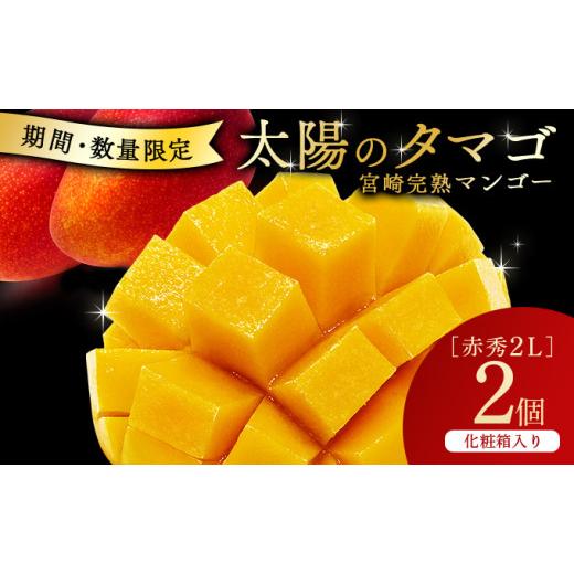 ふるさと納税 マンゴー 宮崎県 串間市 宮崎県串間市産 完熟マンゴー 太陽のタマゴ(2L×2個) 果物 フルーツ デザート スイーツ マンゴー 太陽のたまご ギフト …