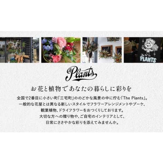 ふるさと納税 雑貨・日用品 花 奈良県 三宅町 The Plants ドライフラワー 額 フラワー アレンジメント 花束 ギフト オリジナル 母の日 インテリア 花 アレンジ…の画像