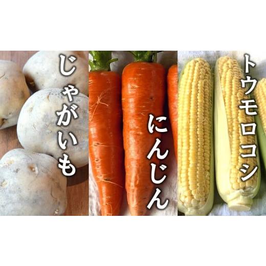 ふるさと納税 新潟県 柏崎市 【先行予約】産地直送！やたらうんめぇ 夏野菜セット 水田環境鑑定士在籍【数量・期間限定】[ZB425]｜furusatochoice｜05