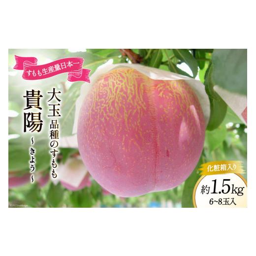 ふるさと納税 もも 山梨県 中央市 すもも 貴陽 約1.5kg 化粧箱入 6-8玉《7月前半から順次お届け》 JAふえふき 山梨県 中央市 21470470 フルーツ 果物 くだもの…の画像