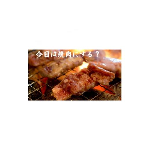 ふるさと納税 山梨県 山梨市 無添加焼肉のたれ2本／よだれ鶏四川万能ソース3本セット【1293674】｜furusatochoice｜04