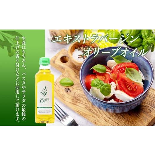 ふるさと納税 食用油 オリーブオイル 香川県 小豆島町 エキストラバージンオリーブオイル 500ml×3本 スペイン産｜オリーブオイル エキストラバージン エクス…_3