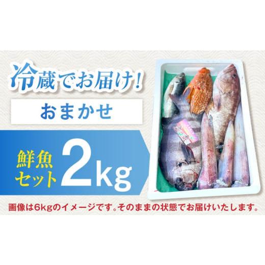ふるさと納税 旬の鮮魚等 長崎県 五島市 五島列島・直送 朝獲れ ふるさと納税 旬の鮮魚等 長崎県 五島市 五島列島・直送 朝獲れ