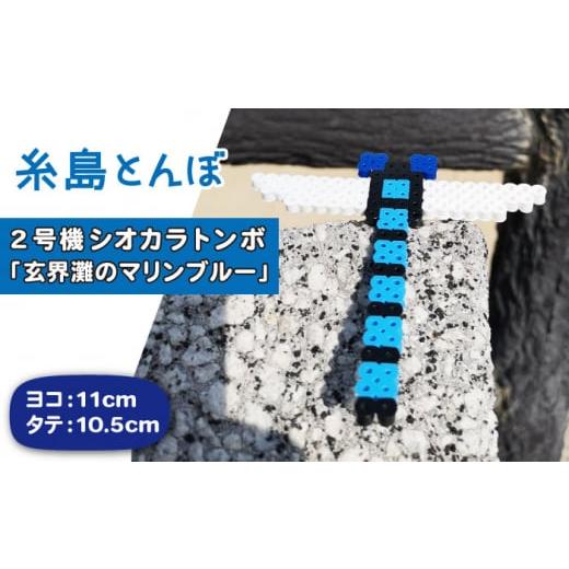 ふるさと納税 福岡県 糸島市 二号機 : 玄界灘 の マリンブルー シオカラトンボ [糸島][糸島とんぼ] 