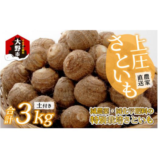 ふるさと納税 人参・大根・他根菜 福井県 大野市 先行予約 10月発送分 上庄さといも 3kg 減農薬・減化学肥料の特別栽培里芋 上庄さといも 3kg 10月発送分