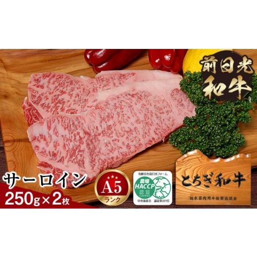 ふるさと納税 牛肉 サーロイン 栃木県 栃木市 とちぎ和牛・前日光和牛（サーロイン250g 2枚）｜肉 お肉 和牛 最高級 A5ランク A5等級 ステーキ | 