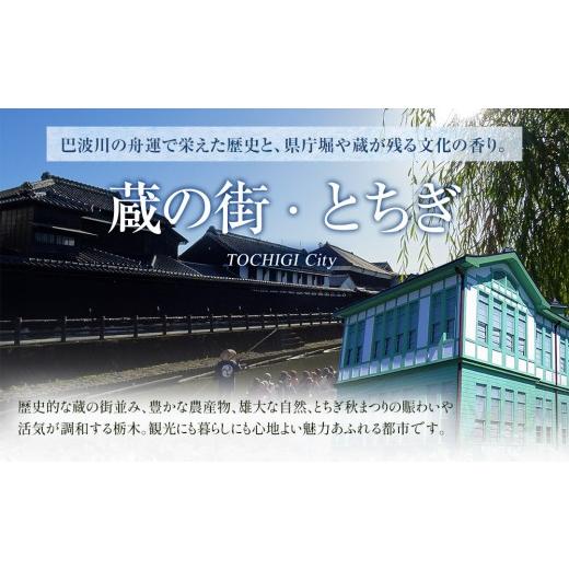 ふるさと納税 牛肉 サーロイン 栃木県 栃木市 とちぎ和牛・前日光和牛（サーロイン250g 2枚）｜肉 お肉 和牛 最高級 A5ランク A5等級 ステーキ |  | 07