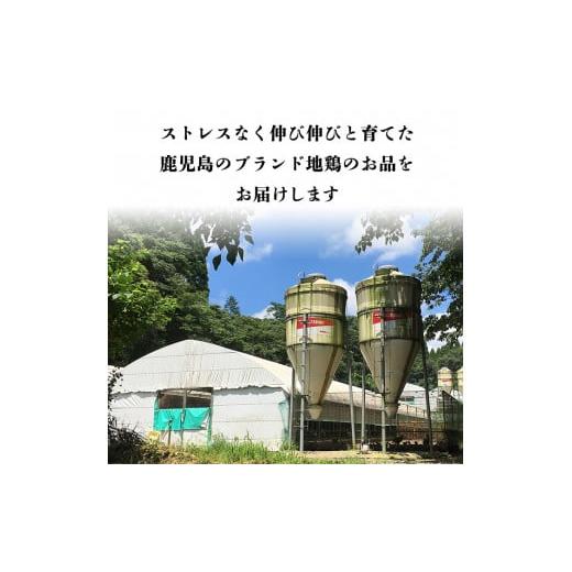 ふるさと納税 鹿児島県 霧島市 A8-010 鹿児島県ブランド地鶏「黒さつま鶏」の炭火焼きセット（160g×8パック合計1.28kg・専用箱）柚子胡椒付【ウイングス】｜furusatochoice｜07