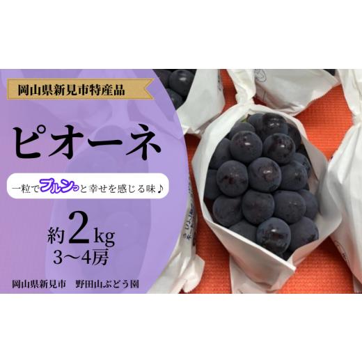 ふるさと納税 岡山県 新見市 野田山ぶどう園 ピオーネ 約2kg 3〜4房 【先行予約 2024年9月中旬から順次発送】｜furusatochoice｜02