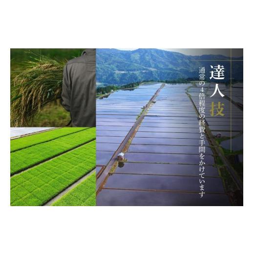 ふるさと納税 新潟県 津南町 【期間限定】令和6年産新米予約 最高級魚沼産コシヒカリ「雪椿」30kg(5kg×6袋)｜furusatochoice｜08