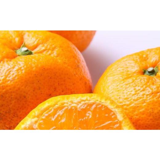 ふるさと納税 果物類 みかん 和歌山県 九度山町  訳あり 和歌山有田みかん約5kg（S〜Lサイズいずれかお届け） 2026年11月中旬頃より順次発送［TM81］ |  | 02