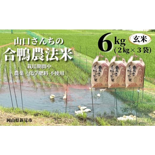 ふるさと納税 米 コシヒカリ 岡山県 新見市 令和7年産 山口さんちの合鴨農法米 玄米6kg (2kg×3袋)