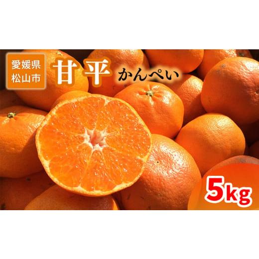 ふるさと納税 果物類 みかん 愛媛県 松山市 家庭用 甘平 5kg 約5kg ¥41,000