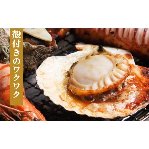 ふるさと納税 魚貝類 ホタテ 北海道 稚内市 北海道オホーツク海産