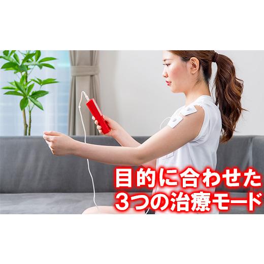ふるさと納税 美容・健康家電 大分県 杵築市 家庭用低周波治療器 電気刺激DRIVE-HOME デンケン ドライブ ホーム ドライヴ 127-001の画像