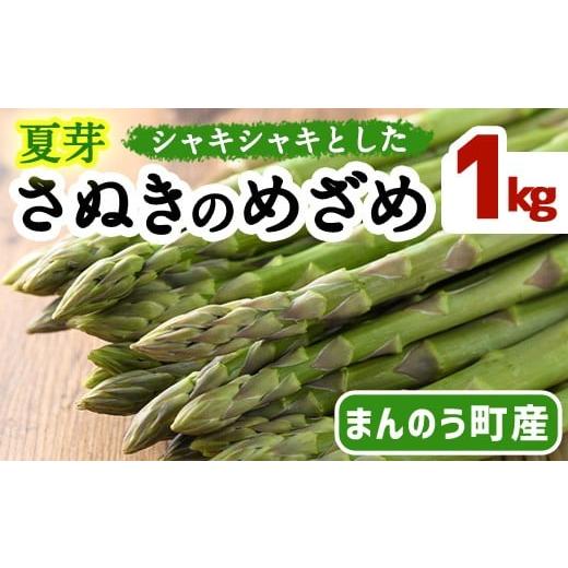 ふるさと納税 野菜類 アスパラガス 香川県 まんのう町 先行予約 2026年6月上旬以降順次発送 Lサイズも選べる 夏芽 さぬきのめざめ アスパラガス(約1kg) man08…