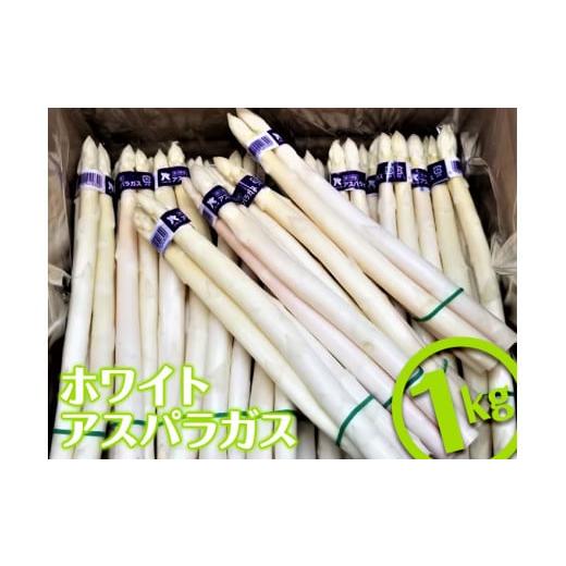 ふるさと納税 野菜類 アスパラガス 香川県 まんのう町 先行予約 2026年3月上旬以降順次発送 ホワイトアスパラガス (約1kg) アスパラガス アスパラ ホワイトア…