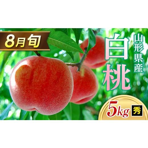 ふるさと納税 もも 山形県 -  2026年 先行予約 8月旬の白桃 5kg 秀（20〜22玉） もも モモ 桃 デザート フルーツ 果物 くだもの 果実 食品 山形県 FSY-1328の画像