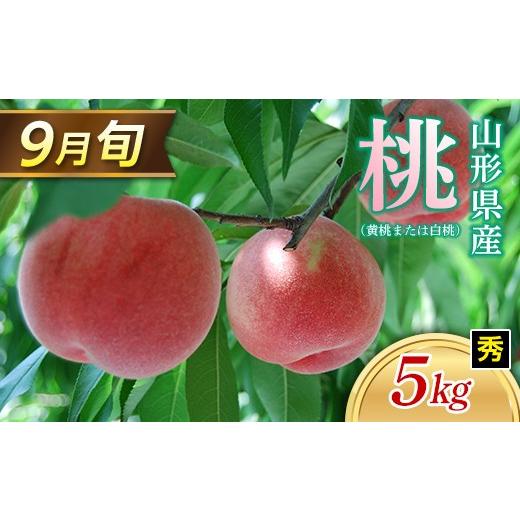 ふるさと納税 もも 山形県 -  2026年 先行予約 9月旬の桃（白桃または黄桃）5kg 秀（小玉 20〜22玉） もも モモ 桃 デザート フルーツ 果物 くだもの 果実 食…の画像