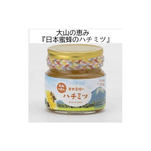 ふるさと納税 加工品等 はちみつ 鳥取県 大山町 MS-82 大山町産プレミアムはちみつ「日本蜜蜂のはちみつ」（290g×2本）の画像