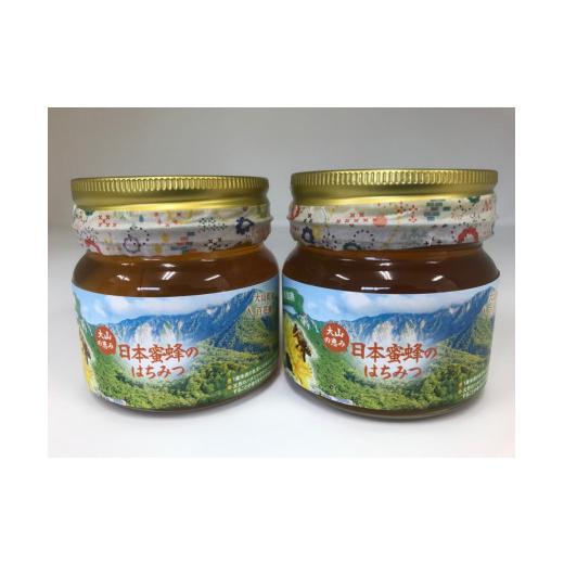 ふるさと納税 加工品等 はちみつ 鳥取県 大山町 MS-82 大山町産プレミアムはちみつ「日本蜜蜂のはちみつ」（290g×2本）の画像