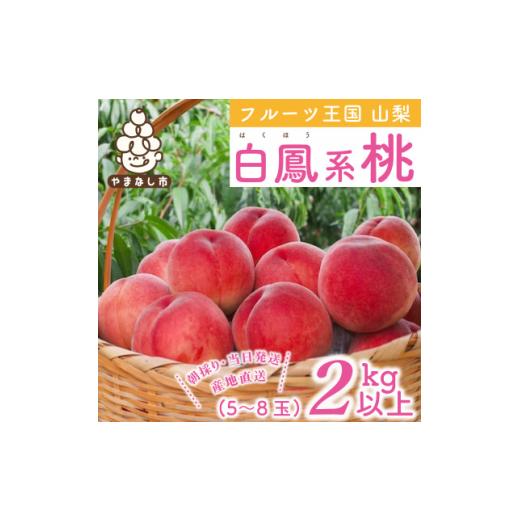 ふるさと納税 もも 山梨県 山梨市 2026年発送 山梨県産 桃 白鳳系 2kg以上(5〜8玉) フルーツ王国・山梨から産地直送 1137260の画像