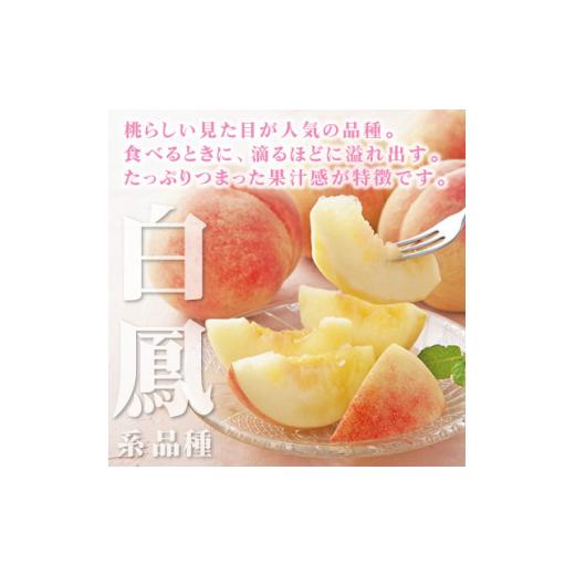 ふるさと納税 もも 山梨県 山梨市 2026年発送 山梨県産 桃 白鳳系 2kg以上(5〜8玉) フルーツ王国・山梨から産地直送 1137260の画像