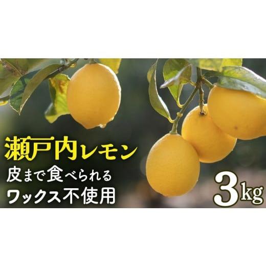 ふるさと納税 みかん・柑橘類 レモン 広島県 大崎上島町 せとうちレモン 約3kg 12〜1月発送 瀬戸内 国産 レモン 瀬戸内レモン 檸檬 柑橘 防腐剤 ワックス 不使…