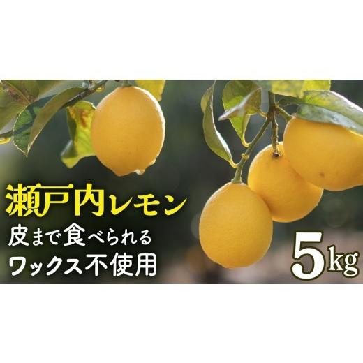 ふるさと納税 みかん・柑橘類 レモン 広島県 大崎上島町 先行予約 もぎたてフレッシュ せとうちレモン 約5kg (約 40〜50個程度 ) 2027年1月〜2月発送 ワック…