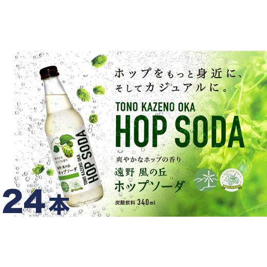 ふるさと納税 炭酸飲料 岩手県 遠野市 ホップソーダ 24本セット ／ ノンアルコール 炭酸飲料 ジャパンフードセレクション 2024 グランプリ 受賞_1