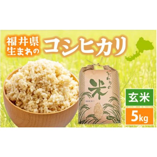 ふるさと納税 米 コシヒカリ 福井県 越前町 新米 令和7年産 コシヒカリ 5kg 福井県産 玄米 お米 こしひかり 5キロ 人気品種 e30-a096