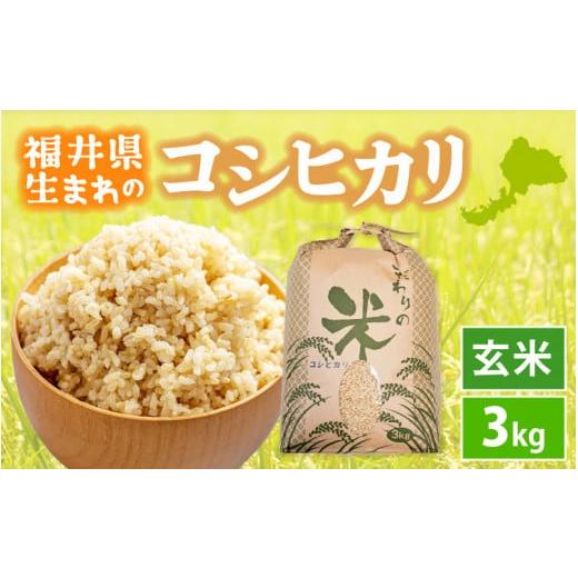 ふるさと納税 米 コシヒカリ 福井県 越前町 新米 令和7年産 コシヒカリ 3kg 福井県産 玄米 お米 こしひかり 3キロ 人気品種 e30-a094