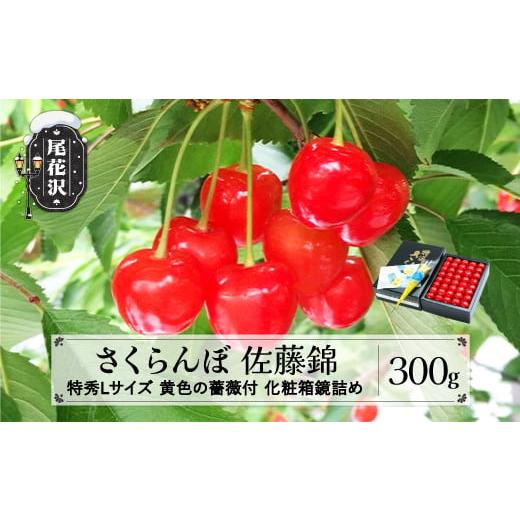 ふるさと納税 山形県 尾花沢市 先行予約 父の日 さくらんぼ 佐藤錦 特秀Lサイズ 黄色の薔薇付 プレゼント ギフト 化粧箱鏡詰め 300g 2024年産 令和6年産 山形…