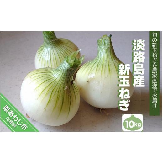 ふるさと納税 野菜類 玉ねぎ 兵庫県 南あわじ市 淡路島産 新玉ねぎ10kg  配送４月末頃〜 淡路島産新玉ねぎ10kgの画像